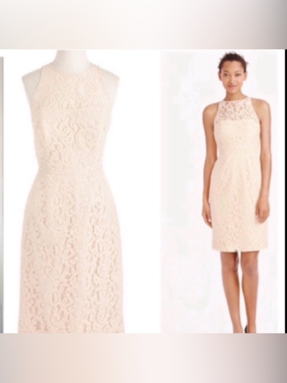 J.Crew Pamela Leavers Formal Ivory Bustier Lace Sheath Dress 6